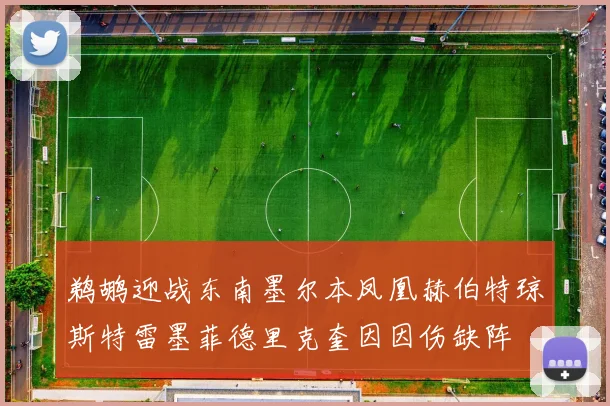 鹈鹕迎战东南墨尔本凤凰赫伯特琼斯特雷墨菲德里克奎因因伤缺阵