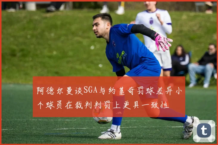 阿德尔曼谈SGA与约基奇罚球差异小个球员在裁判判罚上更具一致性