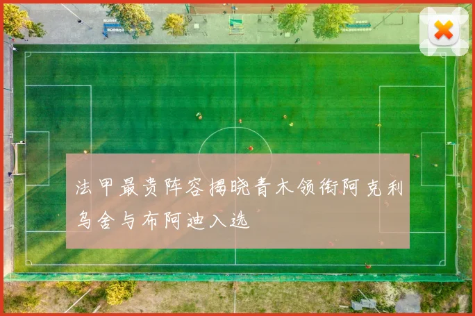 法甲最贵阵容揭晓青木领衔阿克利乌舍与布阿迪入选