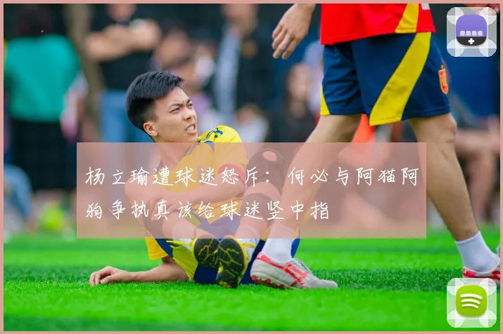 杨立瑜遭球迷怒斥：何必与阿猫阿狗争执真该给球迷竖中指