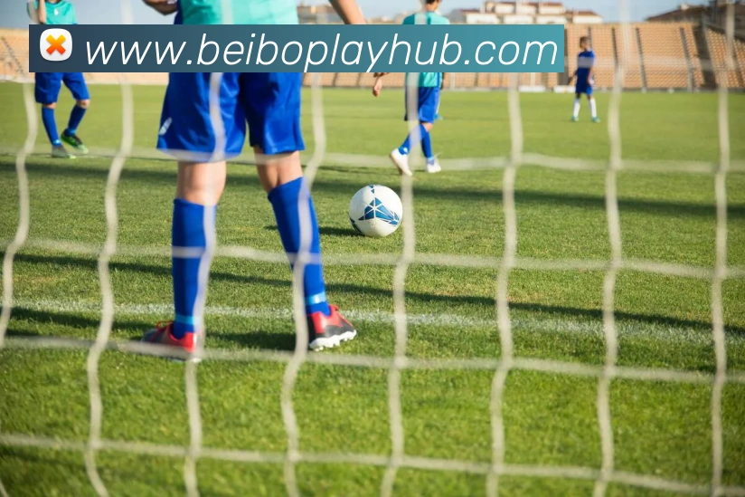 多媒体互动体验