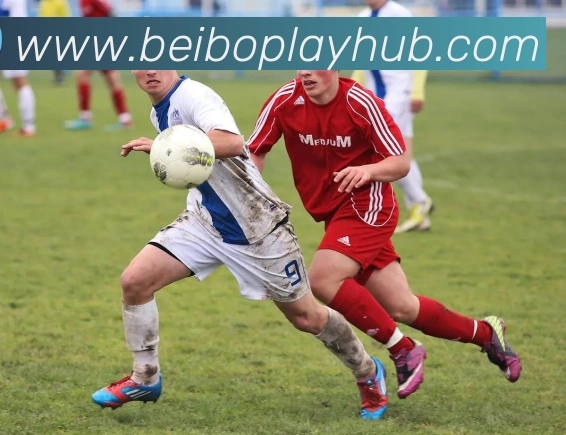 贝博体育APP 高清赛事图